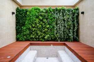 Image of living wall behind a swimming pool